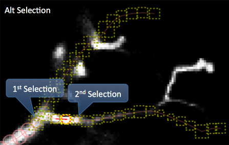 Alt selection