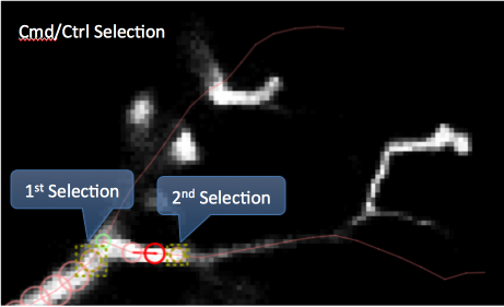 Cmd/Ctrl selection