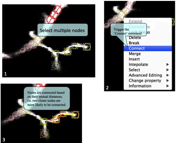 Connect multiple nodes