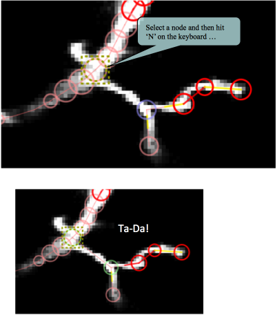 Connect nearest node