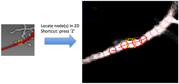 Locate node
